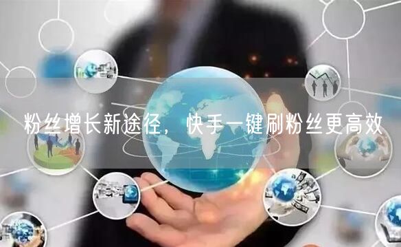 粉丝增长新途径，快手一键刷粉丝更高效