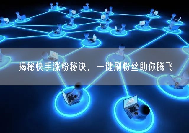 揭秘快手涨粉秘诀，一键刷粉丝助你腾飞