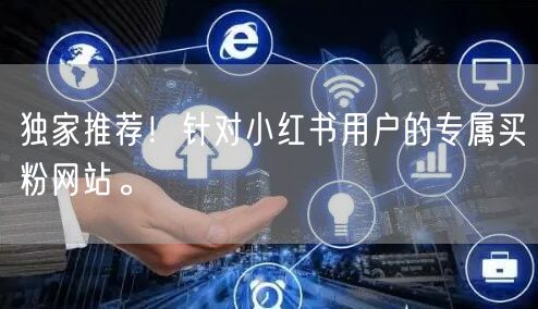 独家推荐！针对小红书用户的专属买粉网站。