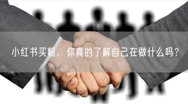 小红书买粉，你真的了解自己在做什么吗？