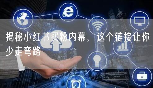 揭秘小红书买粉内幕，这个链接让你少走弯路