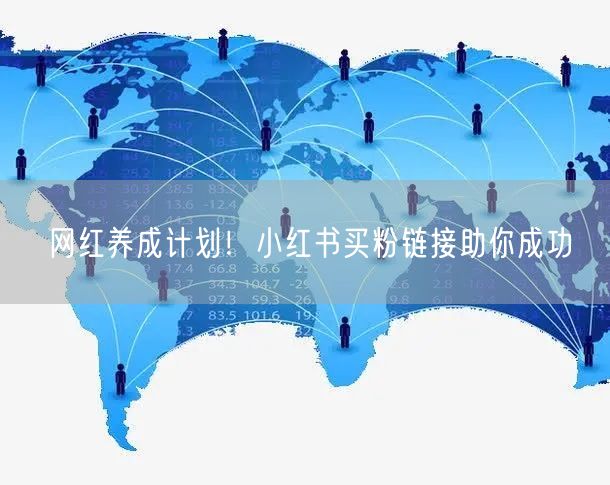 网红养成计划！小红书买粉链接助你成功