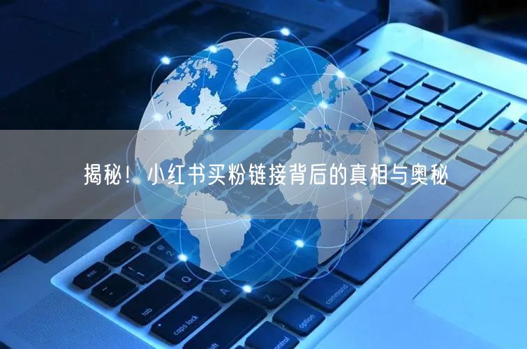 揭秘！小红书买粉链接背后的真相与奥秘