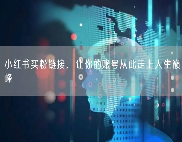 小红书买粉链接，让你的账号从此走上人生巅峰