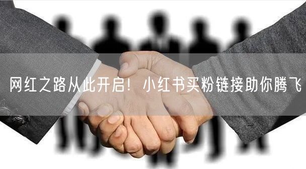 网红之路从此开启！小红书买粉链接助你腾飞