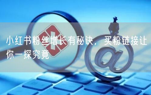 小红书粉丝增长有秘诀，买粉链接让你一探究竟