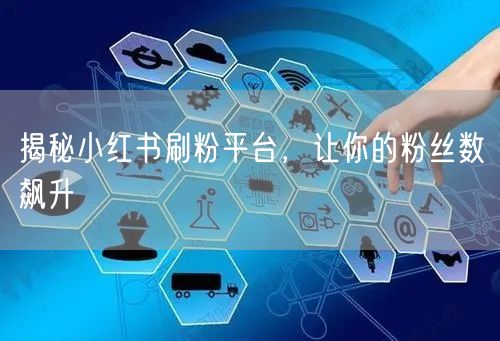 揭秘小红书刷粉平台，让你的粉丝数飙升